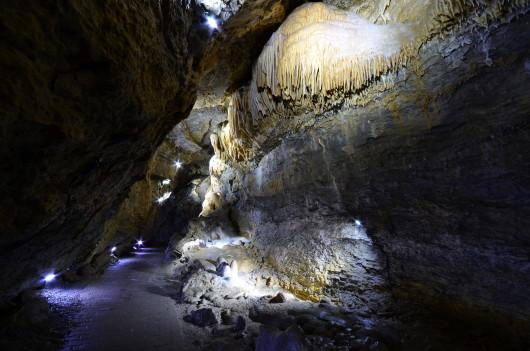 Danke, daß ich in der Höhle fotograferen durfte. Ist sonst nämlich nicht erlaubt. 