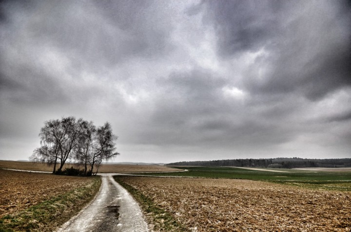 Buchen Odenwald