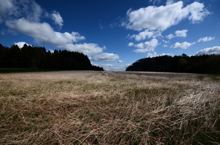 odenwald himmel5 odenwald himmel5