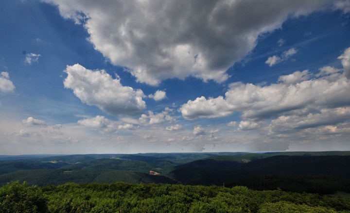 DSC_0006 DSC_0006