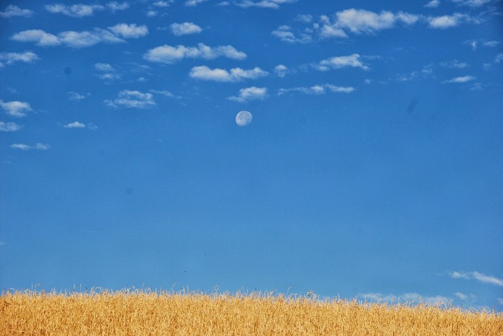 DSC_0019 DSC_0019