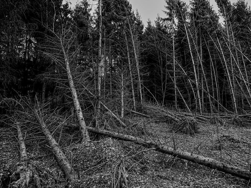 Rückzug II – LandLebenBlog