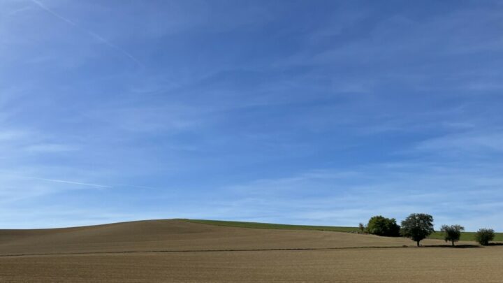 Ein Sommertag.