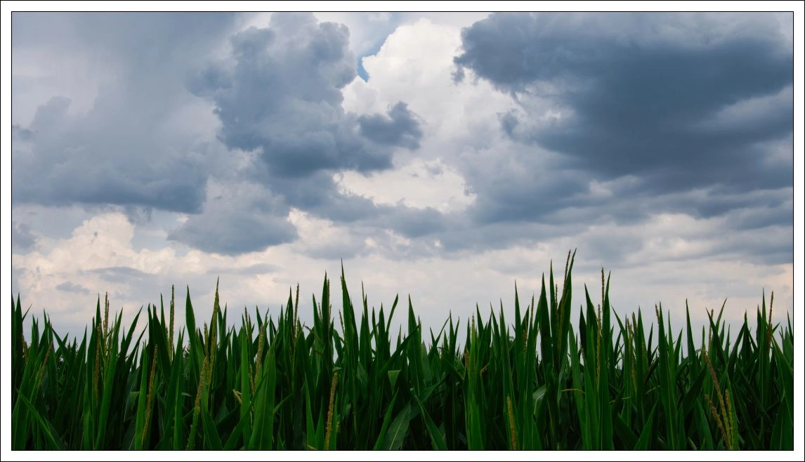 Dies und das an einem Sommertag